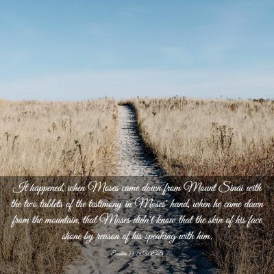 Picture 03 - Exodus 34:29 WEB - It happened, when Moses came down from Mount - Bible Verse Picture