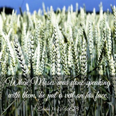 Picture 03 - Exodus 34:33 WEB - When Moses was done speaking with them, he put a - Bible Verse Picture