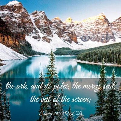 Picture 03 - Exodus 35:12 WEB - the ark, and its poles, the mercy seat, the veil - Bible Verse Picture