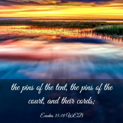 Picture 03 - Exodus 35:18 WEB - the pins of the tent, the pins of the court, and - Bible Verse Picture