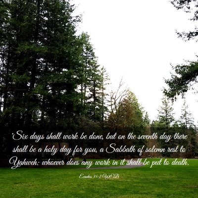 Picture 03 - Exodus 35:2 WEB - 'Six days shall work be done, but on the seventh - Bible Verse Picture