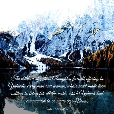 Picture 03 - Exodus 35:29 WEB - The children of Israel brought a freewill - Bible Verse Picture