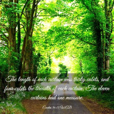 Picture 03 - Exodus 36:15 WEB - The length of each curtain was thirty cubits, and - Bible Verse Picture