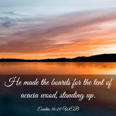 Picture 03 - Exodus 36:20 WEB - He made the boards for the tent of acacia wood, - Bible Verse Picture