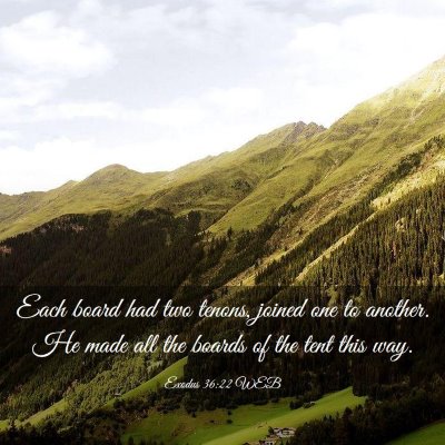 Picture 03 - Exodus 36:22 WEB - Each board had two tenons, joined one to another. - Bible Verse Picture