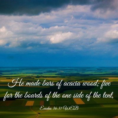 Picture 03 - Exodus 36:31 WEB - He made bars of acacia wood; five for the boards - Bible Verse Picture