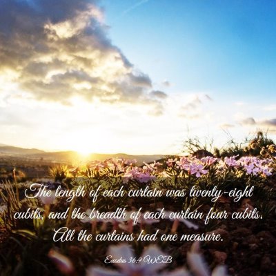 Picture 03 - Exodus 36:9 WEB - The length of each curtain was twenty-eight - Bible Verse Picture