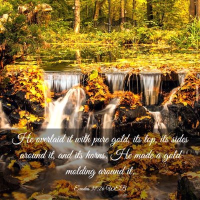 Picture 03 - Exodus 37:26 WEB - He overlaid it with pure gold, its top, its sides - Bible Verse Picture