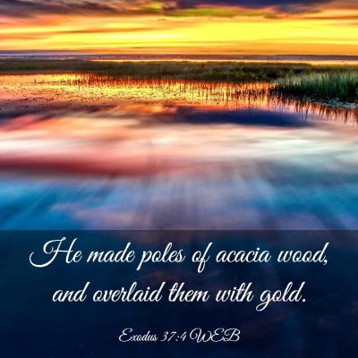 Picture 03 - Exodus 37:4 WEB - He made poles of acacia wood, and overlaid them - Bible Verse Picture