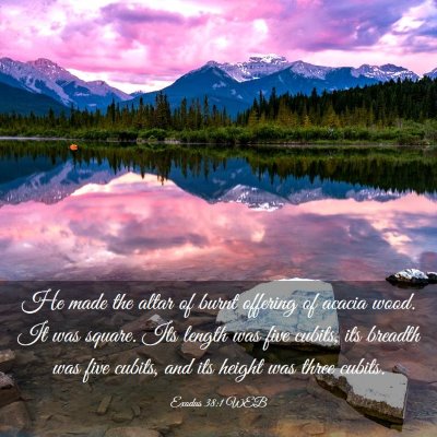 Picture 03 - Exodus 38:1 WEB - He made the altar of burnt offering of acacia - Bible Verse Picture