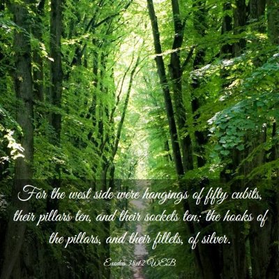 Picture 03 - Exodus 38:12 WEB - For the west side were hangings of fifty cubits, - Bible Verse Picture