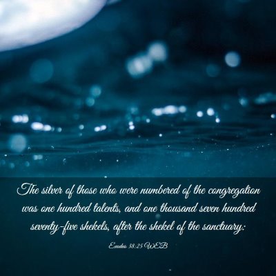 Picture 03 - Exodus 38:25 WEB - The silver of those who were numbered of the - Bible Verse Picture