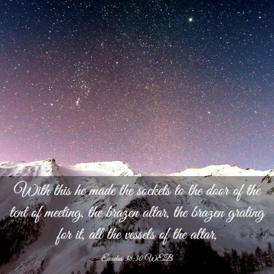 Picture 03 - Exodus 38:30 WEB - With this he made the sockets to the door of the - Bible Verse Picture