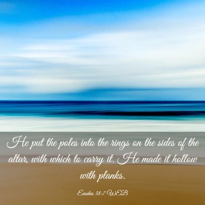 Picture 03 - Exodus 38:7 WEB - He put the poles into the rings on the sides of - Bible Verse Picture