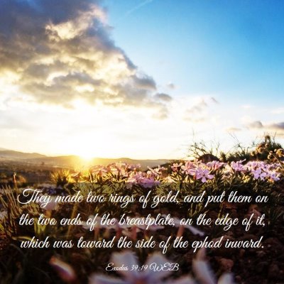 Picture 03 - Exodus 39:19 WEB - They made two rings of gold, and put them on the - Bible Verse Picture
