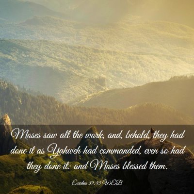 Picture 03 - Exodus 39:43 WEB - Moses saw all the work, and, behold, they had - Bible Verse Picture