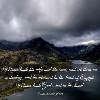 Picture 03 - Exodus 4:20 WEB - Moses took his wife and his sons, and set them on - Bible Verse Picture