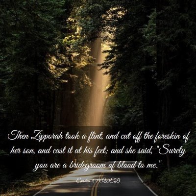 Picture 03 - Exodus 4:25 WEB - Then Zipporah took a flint, and cut off the - Bible Verse Picture