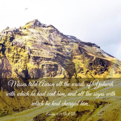 Picture 03 - Exodus 4:28 WEB - Moses told Aaron all the words of Yahweh with - Bible Verse Picture
