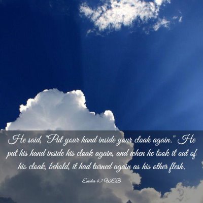 Picture 03 - Exodus 4:7 WEB - He said, 