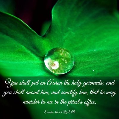 Picture 03 - Exodus 40:13 WEB - You shall put on Aaron the holy garments; and you - Bible Verse Picture