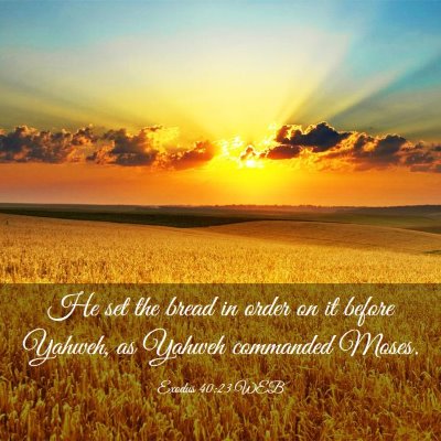 Picture 03 - Exodus 40:23 WEB - He set the bread in order on it before Yahweh, as - Bible Verse Picture