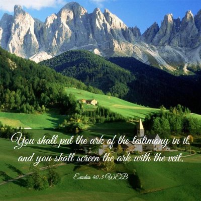 Picture 03 - Exodus 40:3 WEB - You shall put the ark of the testimony in it, and - Bible Verse Picture
