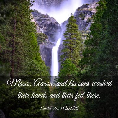 Picture 03 - Exodus 40:31 WEB - Moses, Aaron, and his sons washed their hands and - Bible Verse Picture