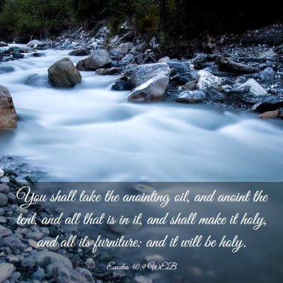 Picture 03 - Exodus 40:9 WEB - You shall take the anointing oil, and anoint the - Bible Verse Picture