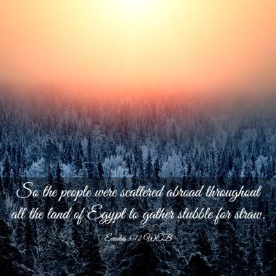 Picture 03 - Exodus 5:12 WEB - So the people were scattered abroad throughout - Bible Verse Picture