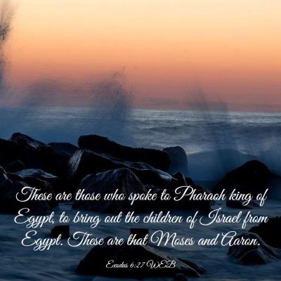 Picture 03 - Exodus 6:27 WEB - These are those who spoke to Pharaoh king of - Bible Verse Picture