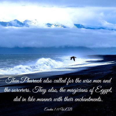 Picture 03 - Exodus 7:11 WEB - Then Pharaoh also called for the wise men and the - Bible Verse Picture
