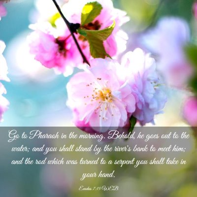 Picture 03 - Exodus 7:15 WEB - Go to Pharaoh in the morning. Behold, he goes out - Bible Verse Picture