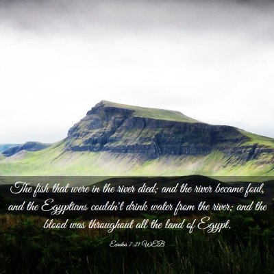 Picture 03 - Exodus 7:21 WEB - The fish that were in the river died; and the - Bible Verse Picture