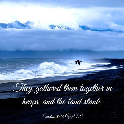 Picture 03 - Exodus 8:14 WEB - They gathered them together in heaps, and the - Bible Verse Picture
