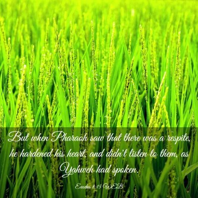 Picture 03 - Exodus 8:15 WEB - But when Pharaoh saw that there was a respite, he - Bible Verse Picture