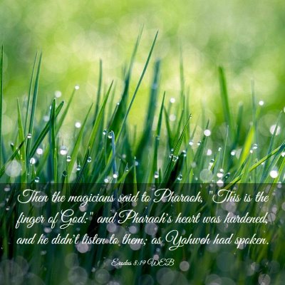 Picture 03 - Exodus 8:19 WEB - Then the magicians said to Pharaoh, 