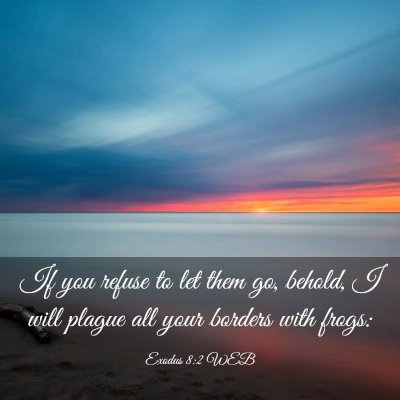Picture 03 - Exodus 8:2 WEB - If you refuse to let them go, behold, I will - Bible Verse Picture