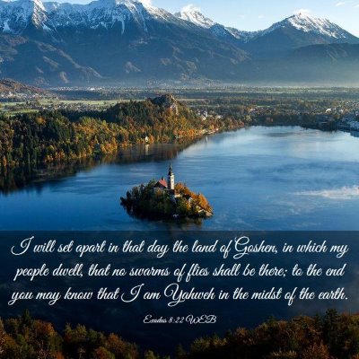 Picture 03 - Exodus 8:22 WEB - I will set apart in that day the land of Goshen, - Bible Verse Picture