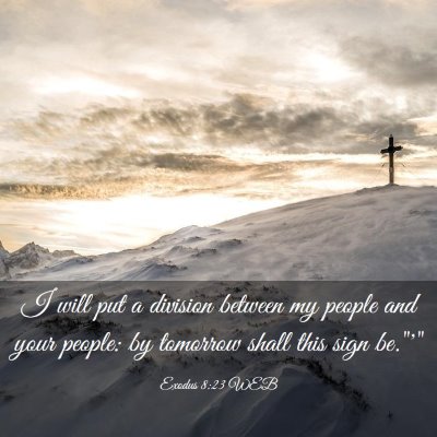 Picture 03 - Exodus 8:23 WEB - I will put a division between my people and your - Bible Verse Picture
