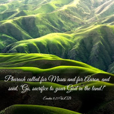 Picture 03 - Exodus 8:25 WEB - Pharaoh called for Moses and for Aaron, and said, - Bible Verse Picture
