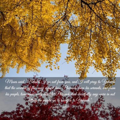 Picture 03 - Exodus 8:29 WEB - Moses said, 