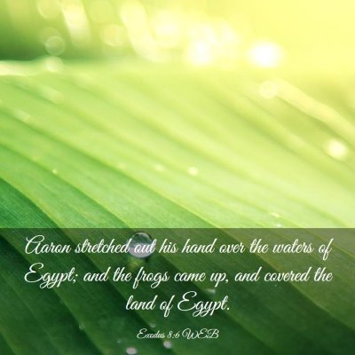Picture 03 - Exodus 8:6 WEB - Aaron stretched out his hand over the waters of - Bible Verse Picture