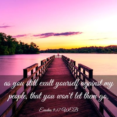 Picture 03 - Exodus 9:17 WEB - as you still exalt yourself against my people, - Bible Verse Picture