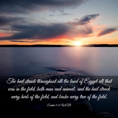 Picture 03 - Exodus 9:25 WEB - The hail struck throughout all the land of Egypt - Bible Verse Picture