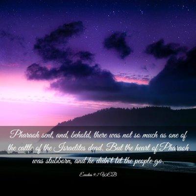 Picture 03 - Exodus 9:7 WEB - Pharaoh sent, and, behold, there was not so much - Bible Verse Picture