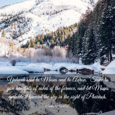 Picture 03 - Exodus 9:8 WEB - Yahweh said to Moses and to Aaron, 