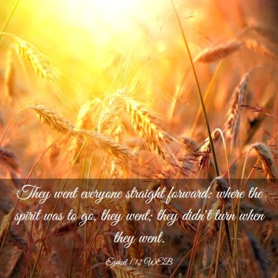 Picture 03 - Ezekiel 1:12 WEB - They went everyone straight forward: where the - Bible Verse Picture