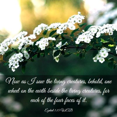Picture 03 - Ezekiel 1:15 WEB - Now as I saw the living creatures, behold, one - Bible Verse Picture