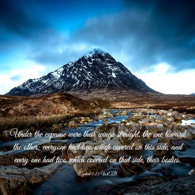 Picture 03 - Ezekiel 1:23 WEB - Under the expanse were their wings straight, the - Bible Verse Picture